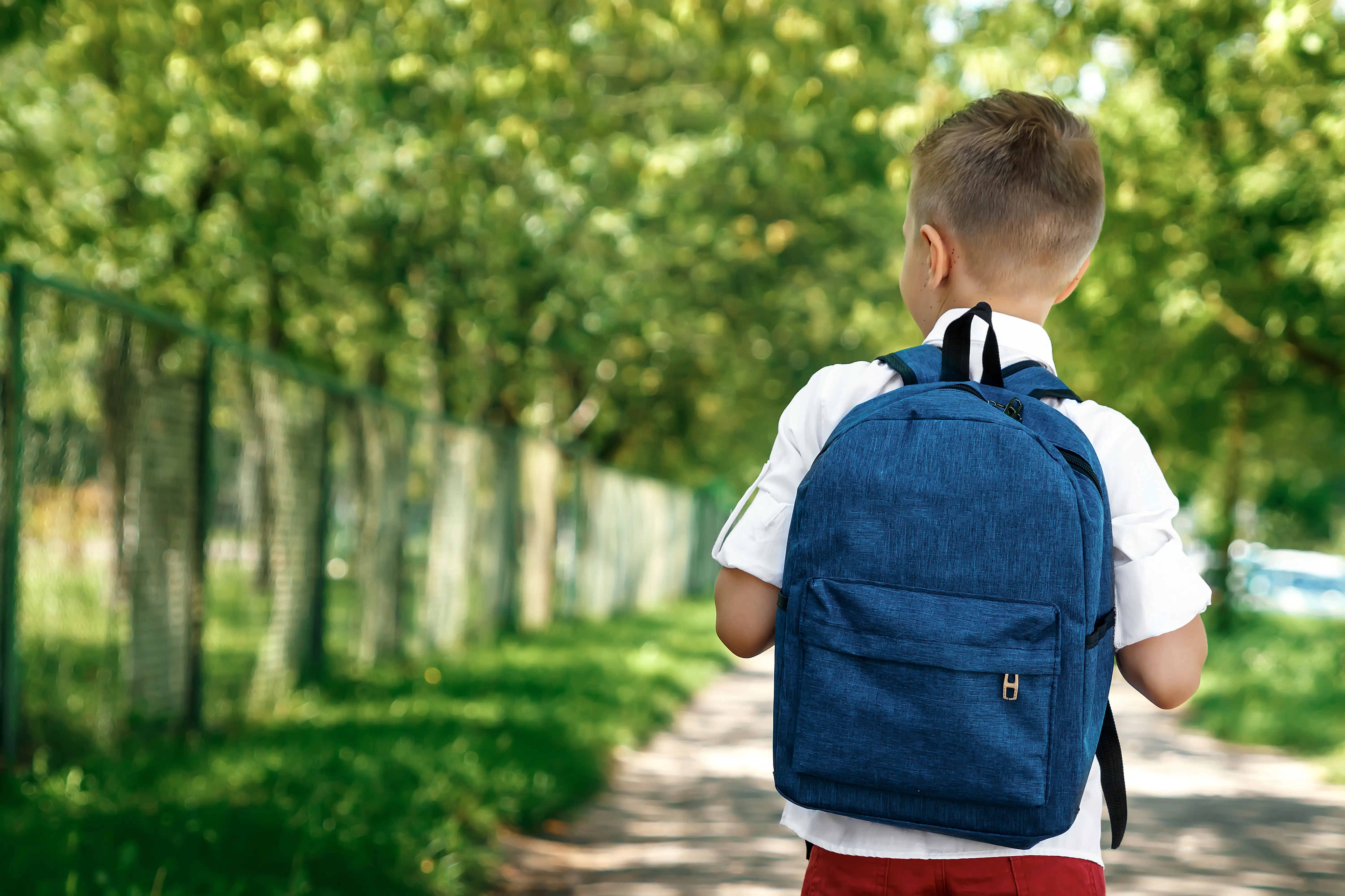 Back,To,School.,A,Boy,From,An,Elementary,School,With
